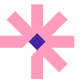 Vizard